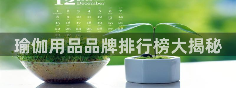 龙8国际-我的