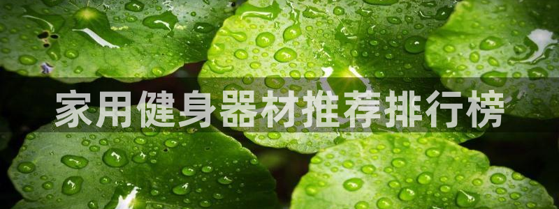 龙8国际总代理