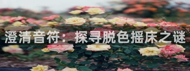 龙8国际中国唯一官方网站