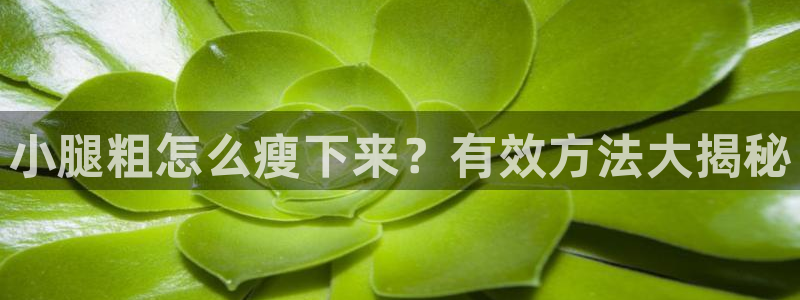 龙8国际黑钱