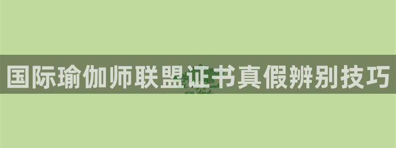 龙8国际官网