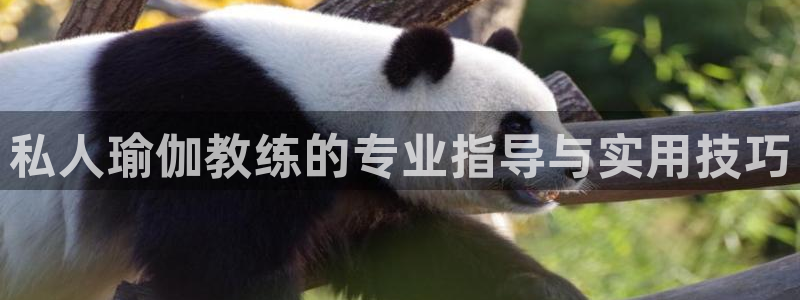 龙8国际手机版下载