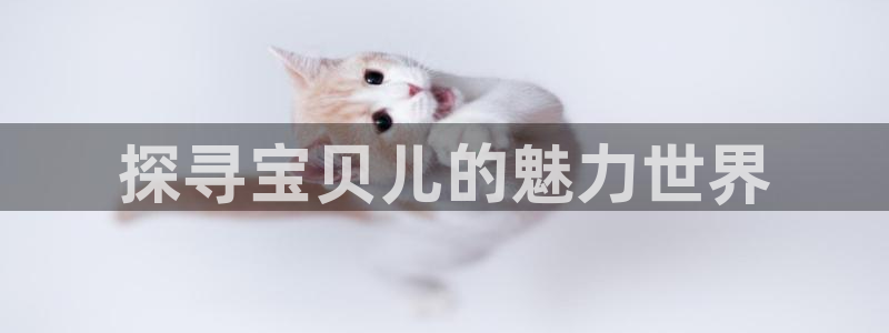 龙八国际pt