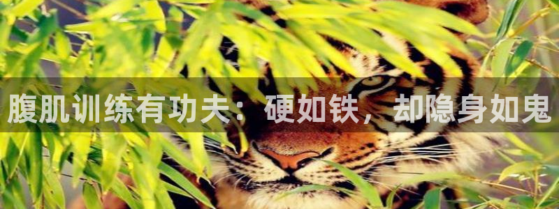 龙8国际3.0