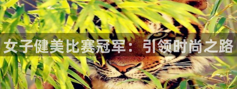 龙8国际怎么进不去了