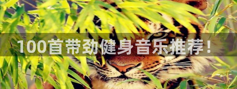 龙8国际是什么电影