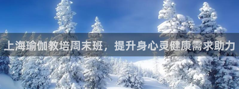 龙8游戏平台的网站