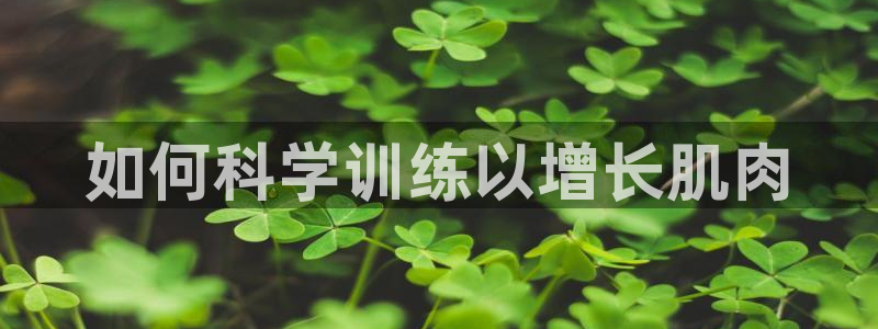 龙8国际官网手机客户端