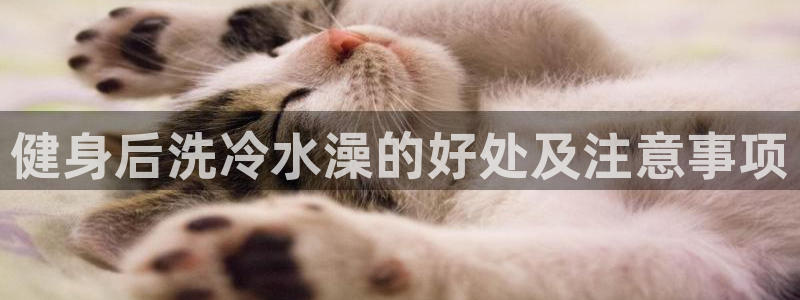 国际龙8唯一登陆