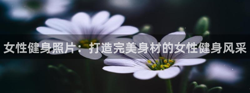 龙8国际的官方网站