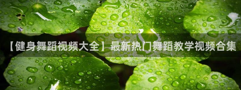 龙8国际官网版手机版