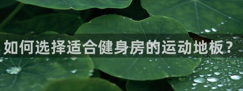 龙八国际官网下载