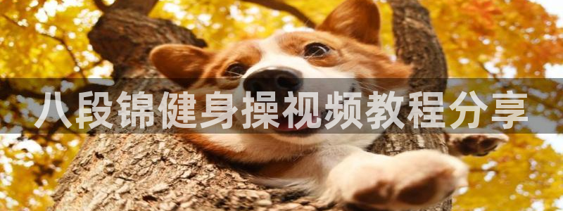 龙8国际官网下载地址