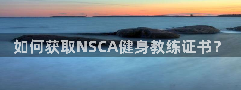 龙8国际现金