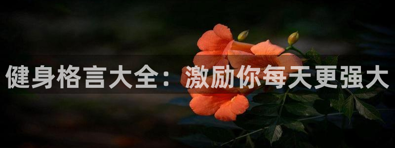 龙8国际现金