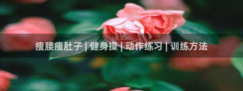 龙8游戏官方网站z