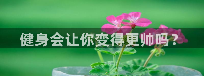 龙8国际游资如何