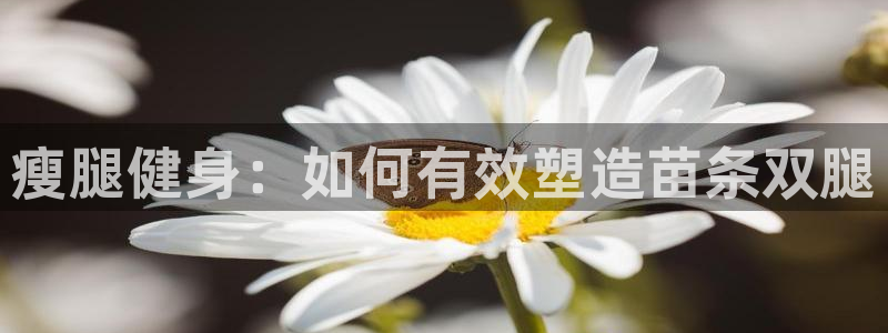 龙八国际2018最新官网