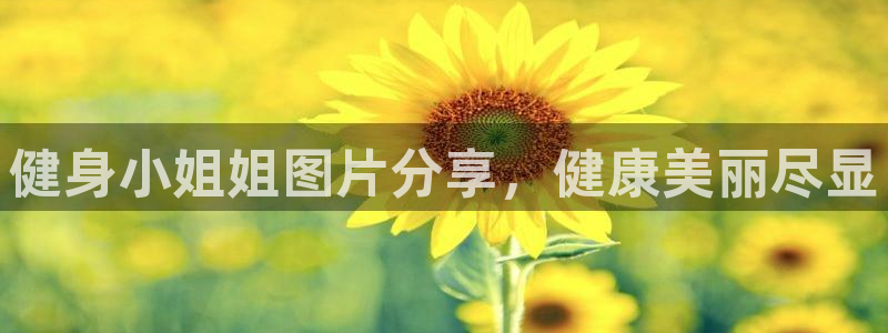 龙8国际官网娱乐