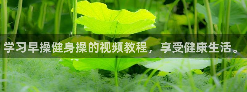 龙8国际安卓版