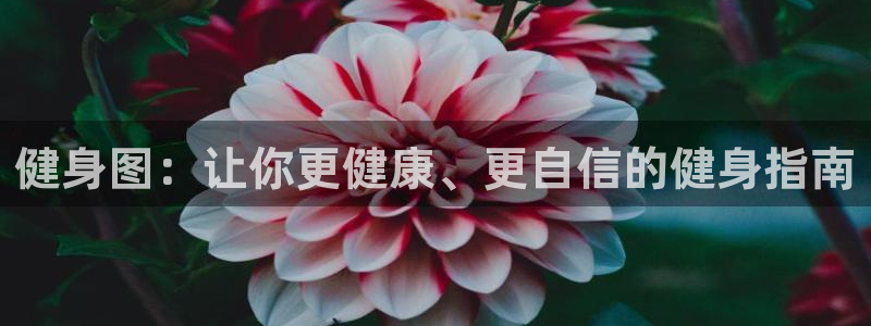 龙8国际pt官方网址