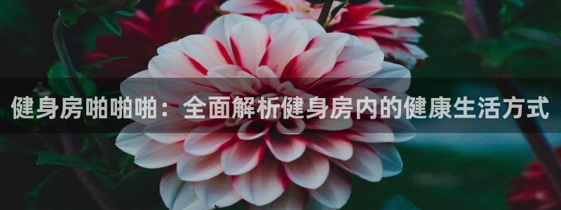 龙8国际app下载客户端