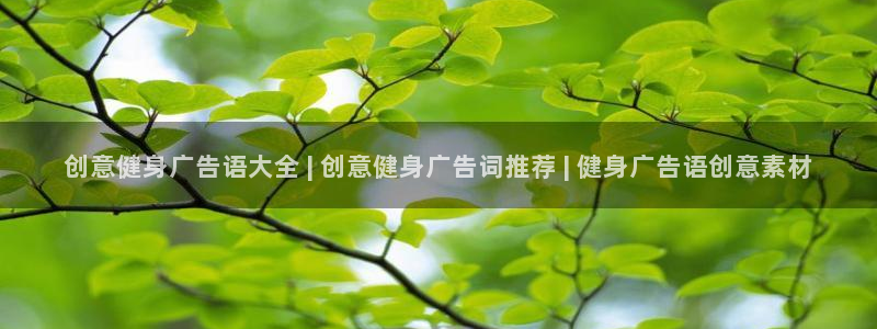 龙八国际官方网