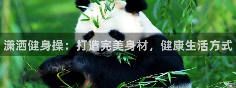 龙8国际为啥改名叫头号玩家了
