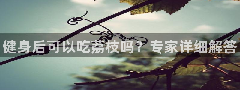 龙八国际娱乐官网app