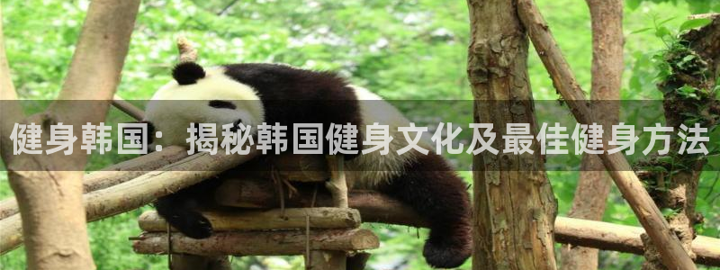 龙8国际安卓版