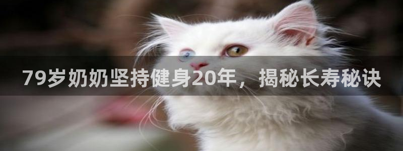 龙8棋牌官网