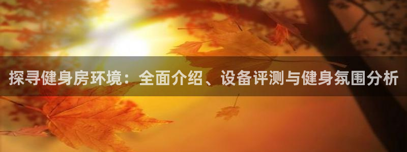 龙八国际官方网