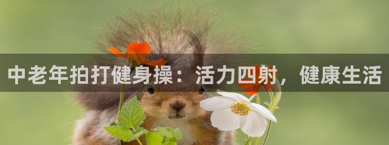 龙八国际手机客户端