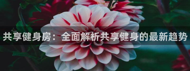 龙8棋牌平台