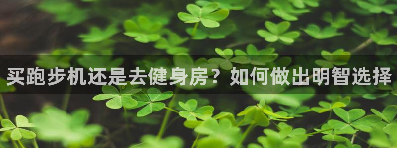 国际龙8官网pt客户端