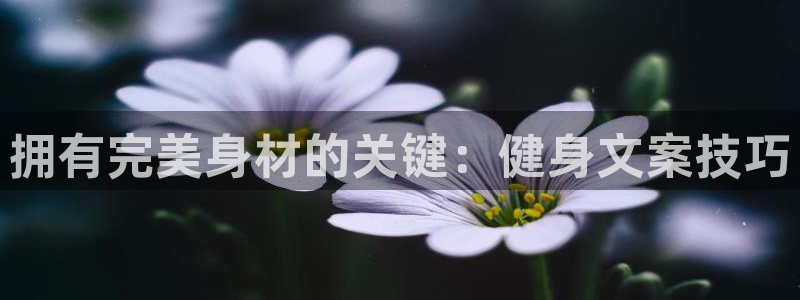 龙8国际官方网站手机版下载
