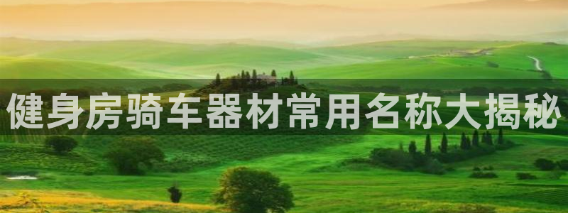龙8官网手机登入口