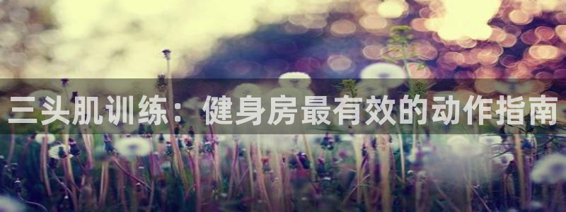 龙8国际试玩