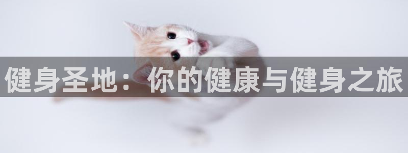 龙8国际app下载手机版