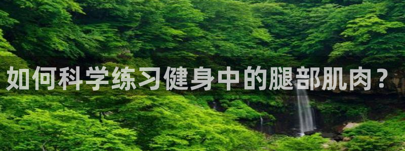 龙8国际真钱