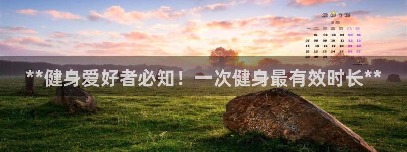 龙8手机游戏官网