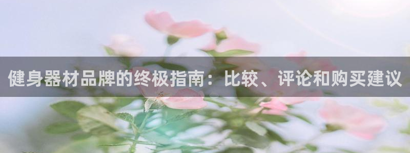 龙8 国际
