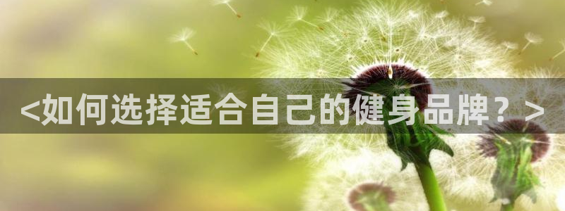 龙8国际手机游戏官网版