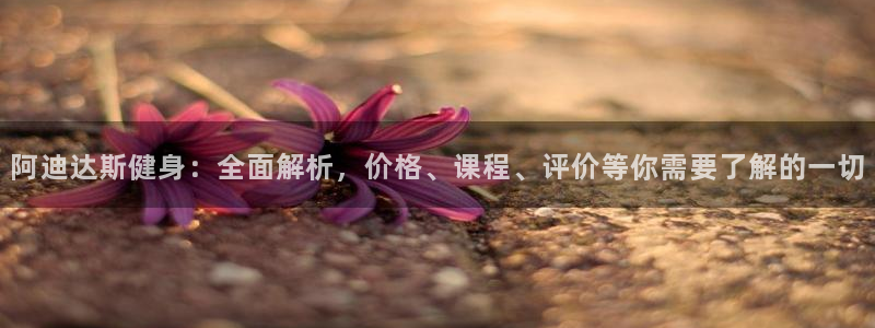 龙8国际官网多少