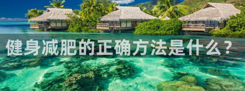 龙8国际手机版