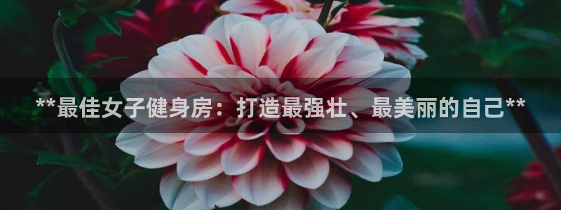 龙8国际登入