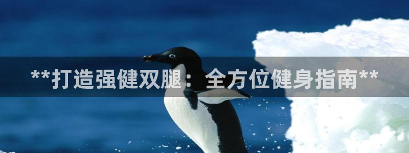 龙八国际官网下载