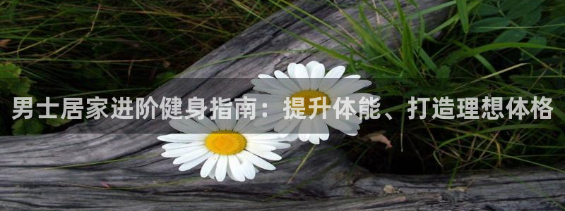 龙8app 国际