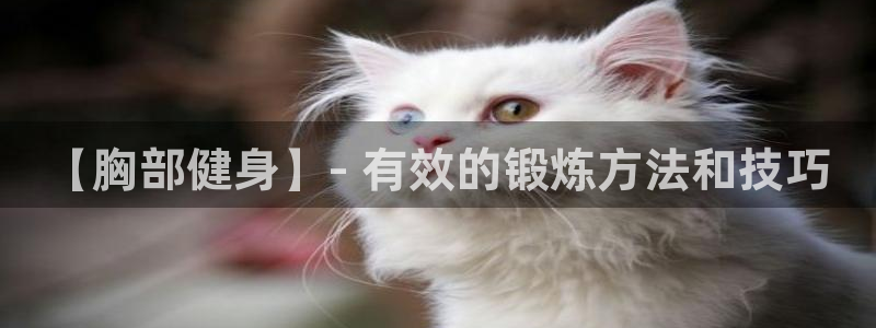 龙8国际官网唯一入口