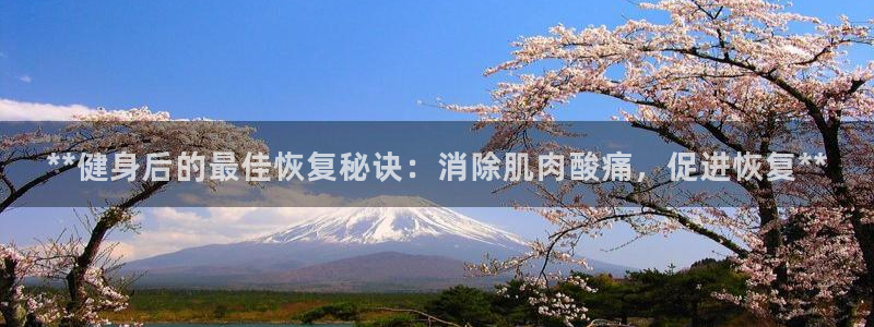 龙8国际手机登